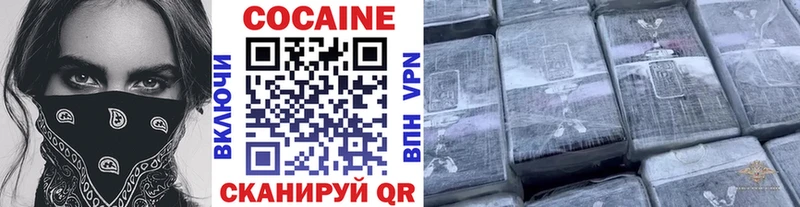 Купить закладки  Удомля  Cocaine FishScale 
