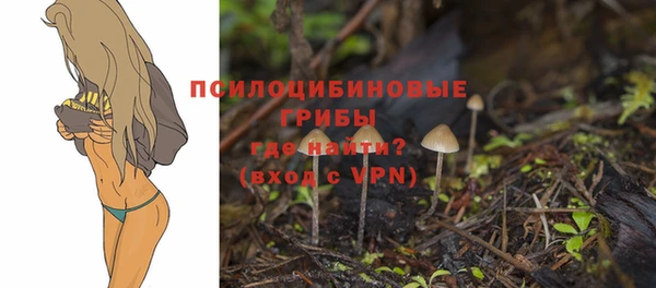 spice Покачи