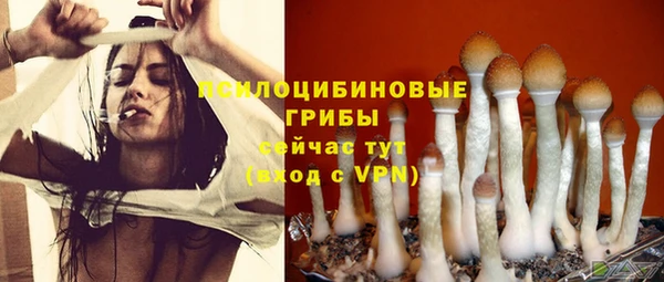 spice Покачи