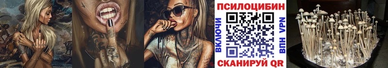 Купить закладки  Удомля  Псилоцибиновые грибы Magic Shrooms 