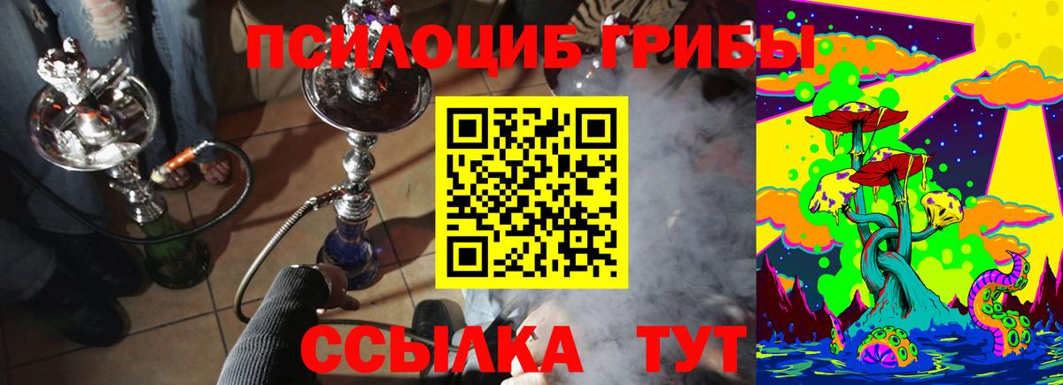 Галлюциногенные грибы MAGIC MUSHROOMS Удомля