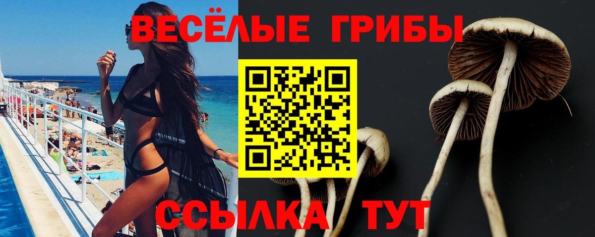 дарнет шоп  Удомля  Галлюциногенные грибы мухоморы 