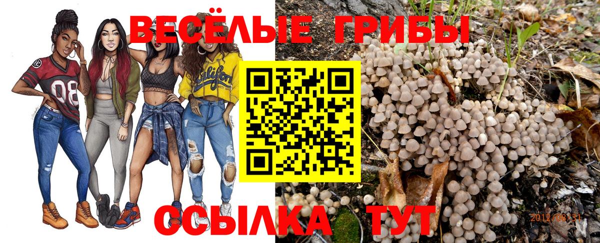 Галлюциногенные грибы Psilocybine cubensis Удомля