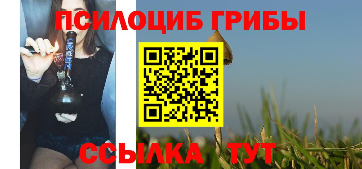 Псилоцибиновые грибы прущие грибы  как найти закладки  Удомля  Вход с VPN 